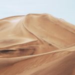 O Balé Épico nas Areias de Arrakis: O Sucesso de Duna e a Disputa pelo Monopólio
